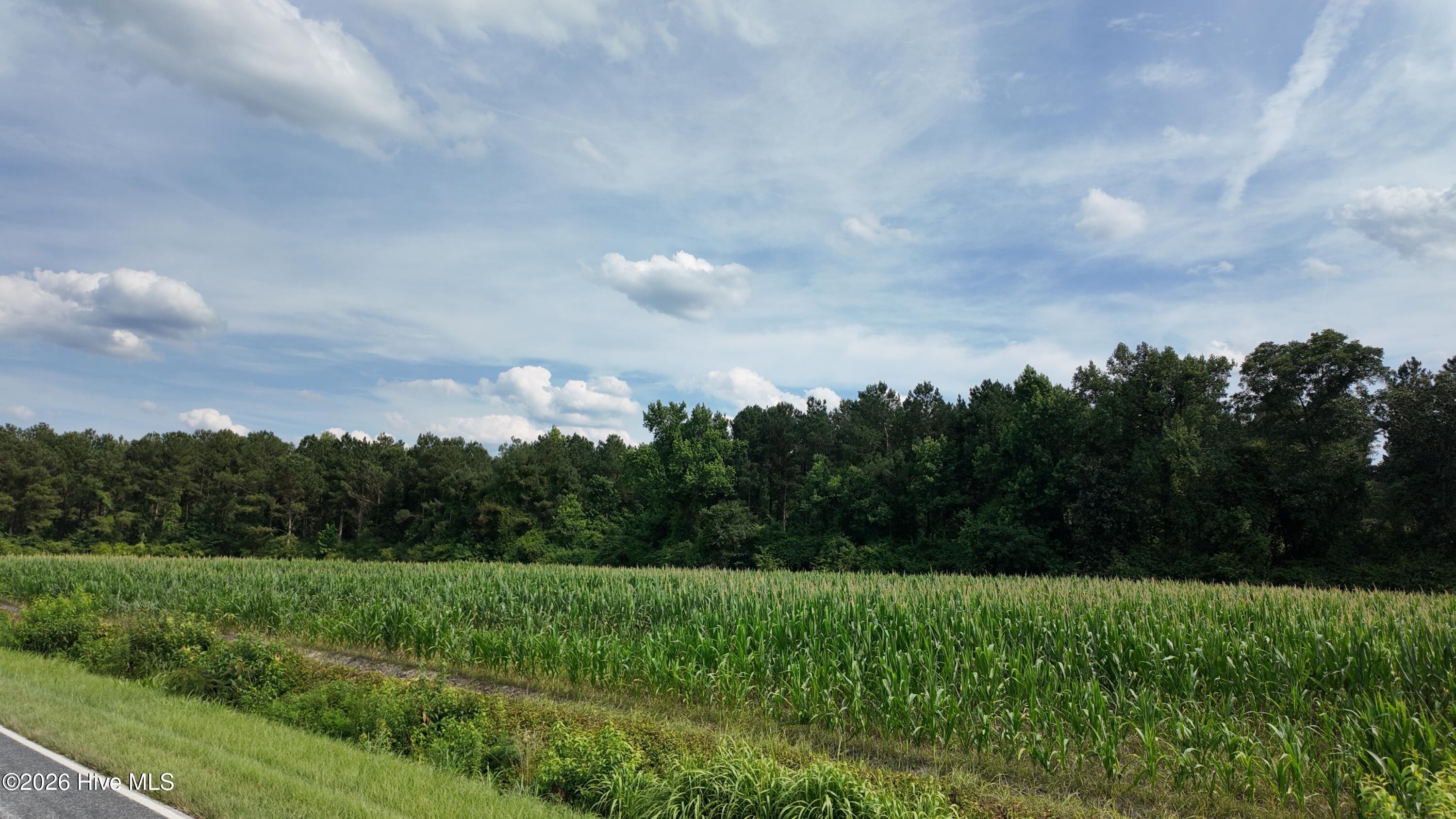 0 Ludie Brown Road Chinquapin, NC 28521 - Photo 7 of 9