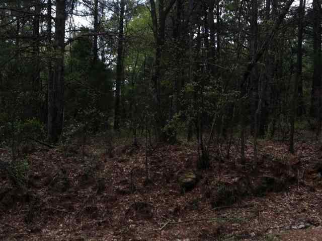 6 Foster Road Williamston, SC 29697 - Photo 1 of 1 Gallery Image 1