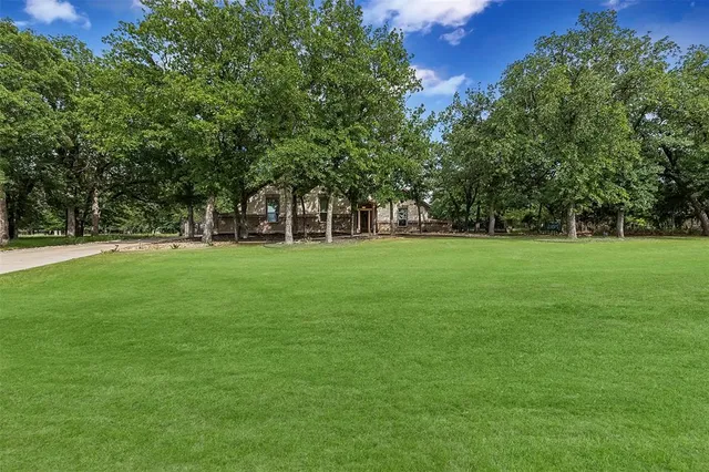a view of a trees in a park
