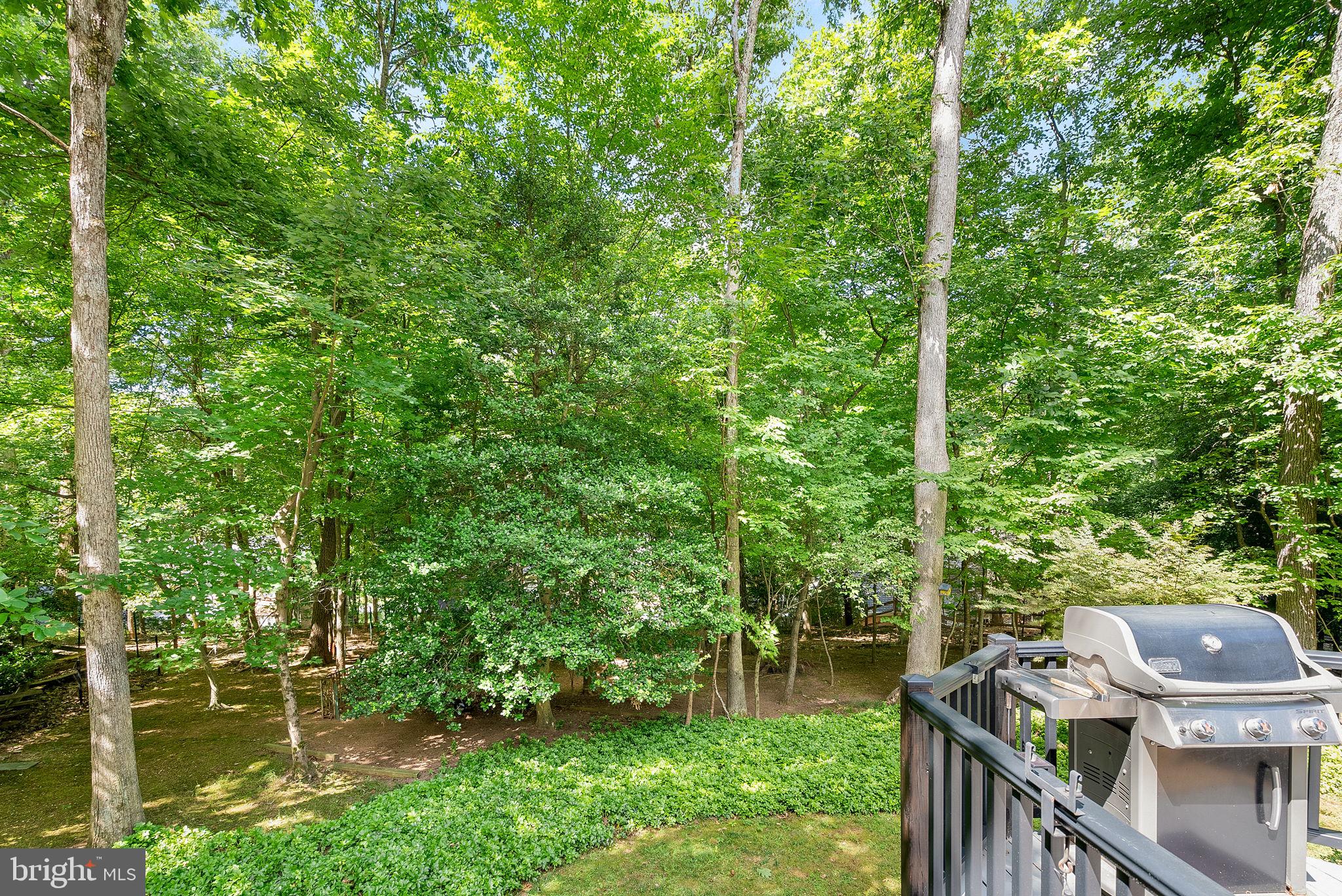 12016 Edgepark Court Potomac, MD 20854 - Photo 63 of 67 Gallery Image 63