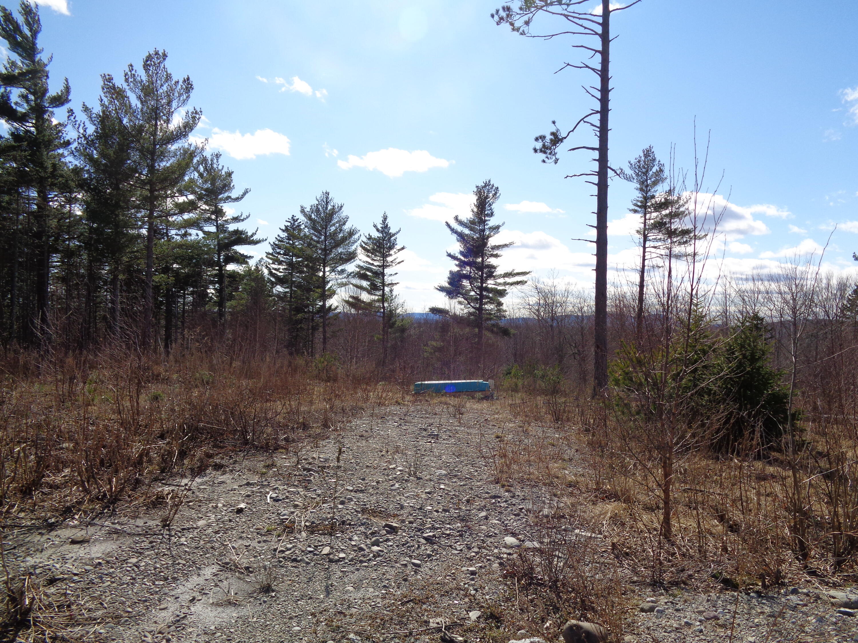 323 Moore Road Ellsworth, ME 04605 - Photo 14 of 28 Views toward West