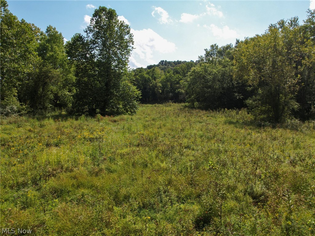 31541 Ansel Road Logan, OH 43138 - Photo 4 of 15 Gallery Image 4
