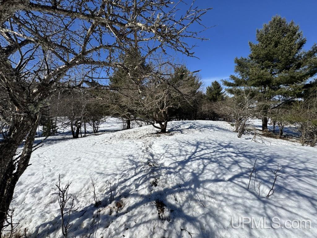 Tbd Bellaire Road Baraga, MI 49908 - Photo 3 of 20