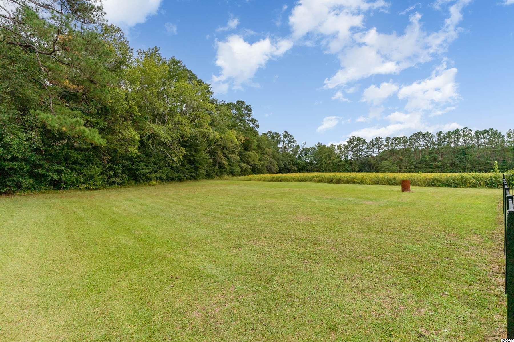 4954 Devine Street Loris, SC 29569 - Photo 34 of 37 Gallery Image 34