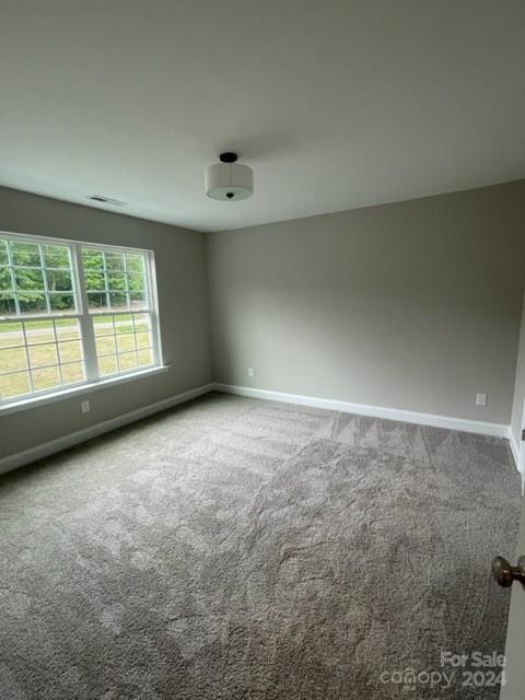 6830 Forney Hill Road Denver, NC 28037 - Photo 30 of 34 Gallery Image 30