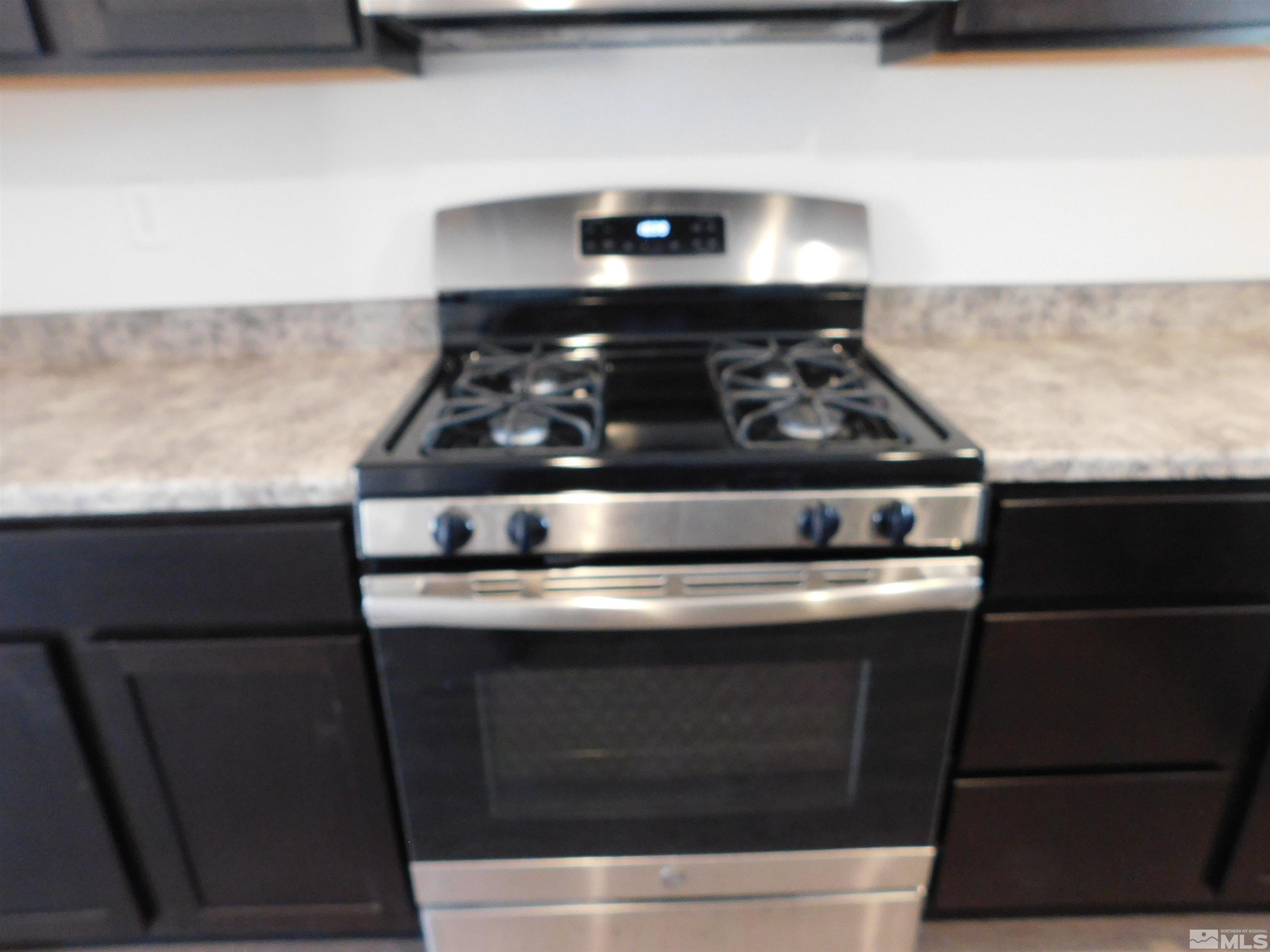 239 Misty Way Dayton, NV 89403 - Photo 28 of 29 a close view of stove top oven