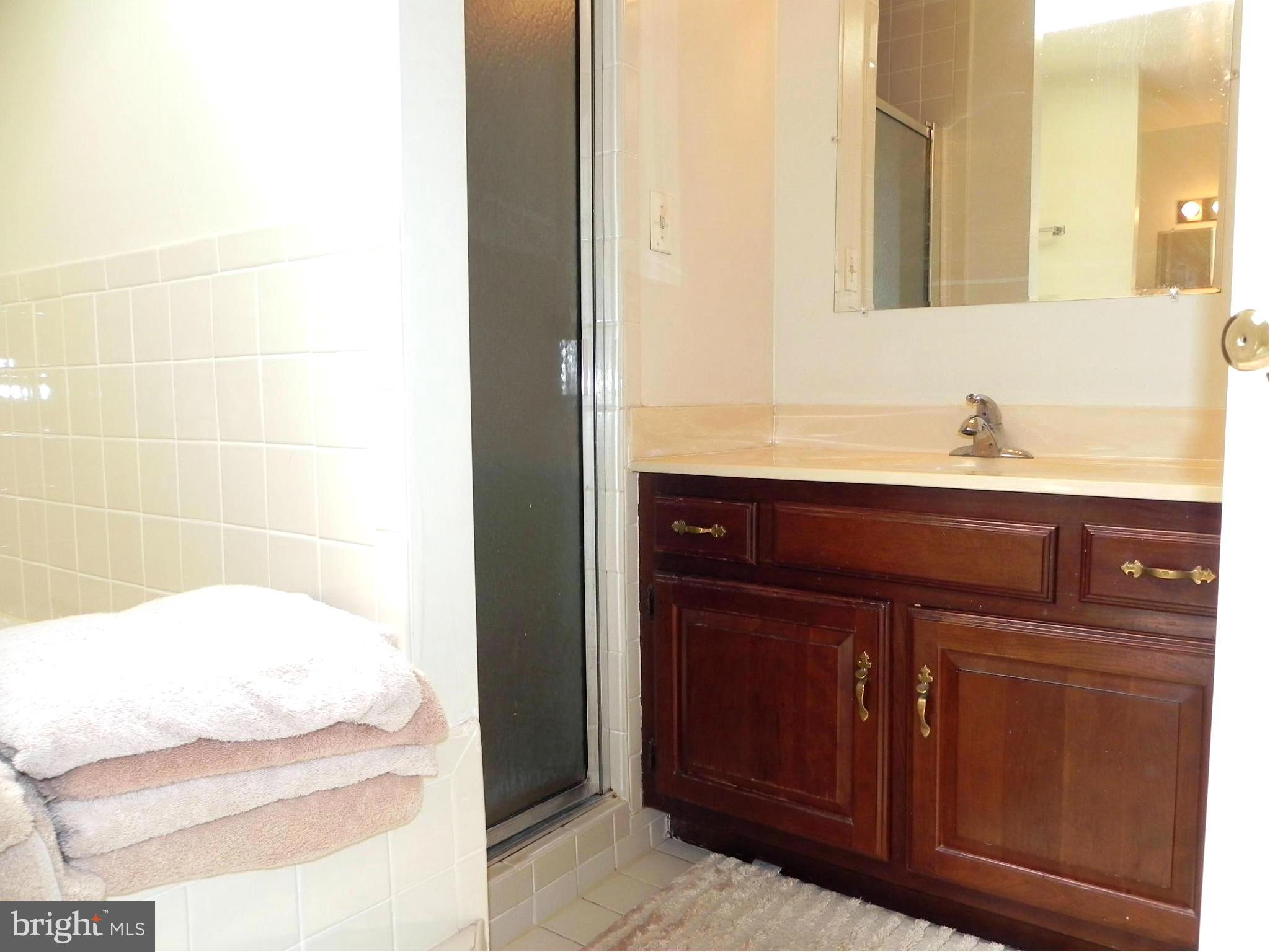 9565 Persimmon Tree Road Rockville, MD 20854 - Photo 16 of 30 Bath (Master)