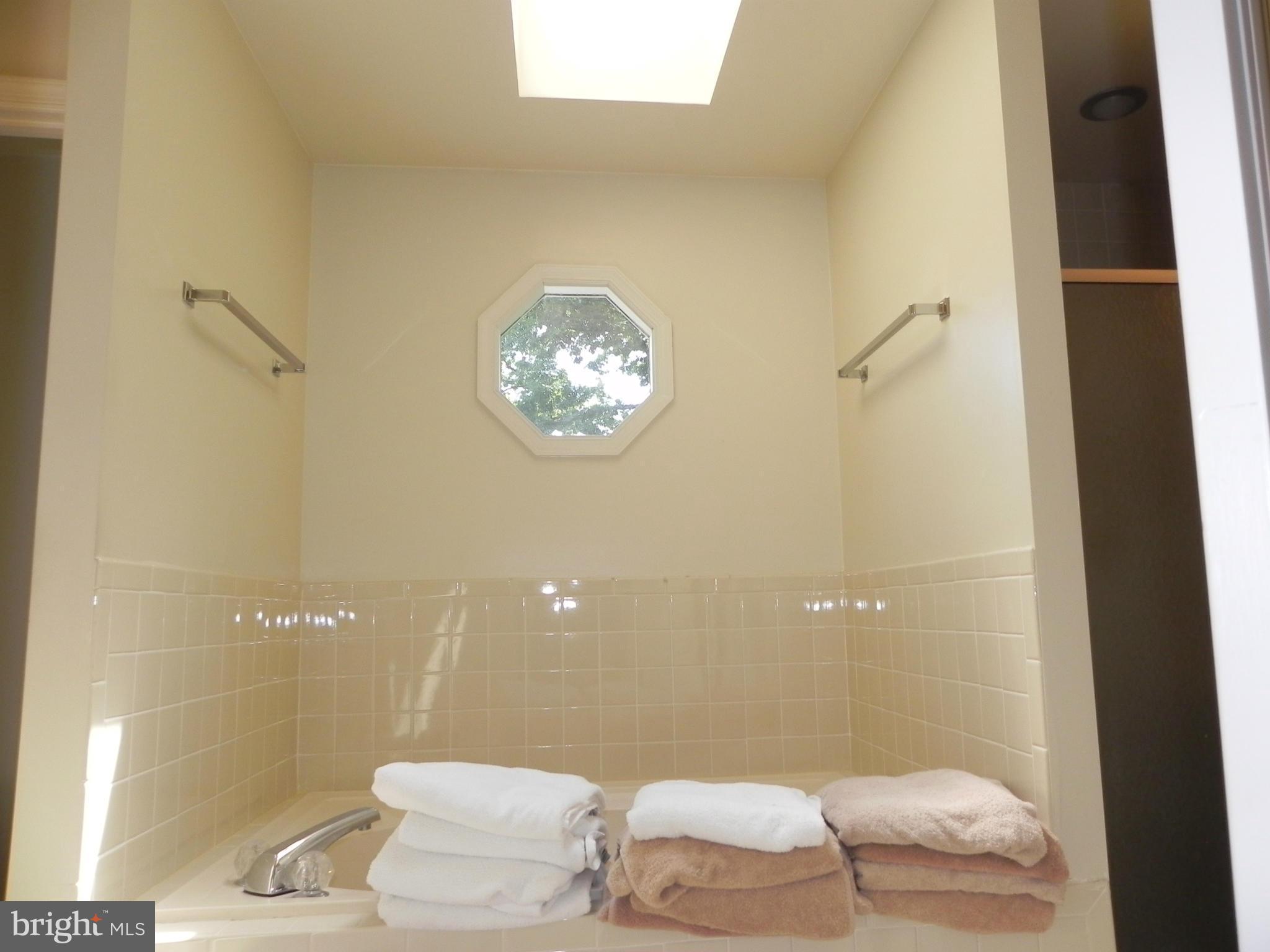 9565 Persimmon Tree Road Rockville, MD 20854 - Photo 17 of 30 Bath (Master)