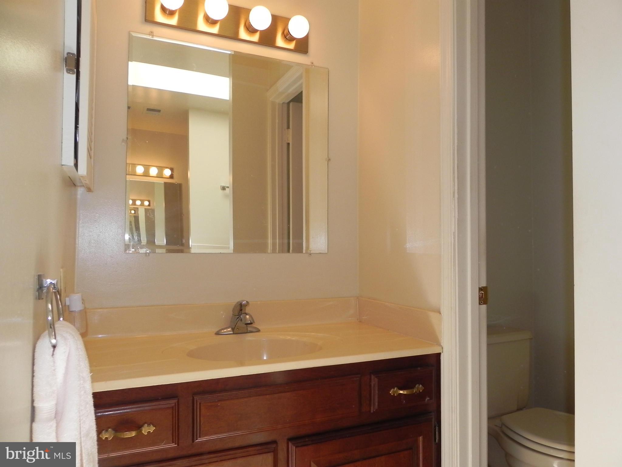 9565 Persimmon Tree Road Rockville, MD 20854 - Photo 18 of 30 Bath (Master)