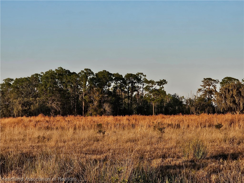 1000 Platt Crk Road Venus, FL 33960 - Photo 1 of 9