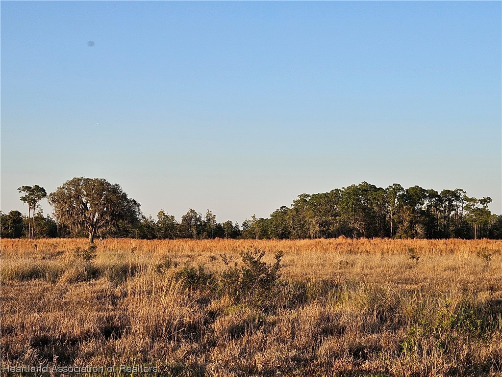 1000 Platt Crk Road Venus, FL 33960 - Photo 2 of 9