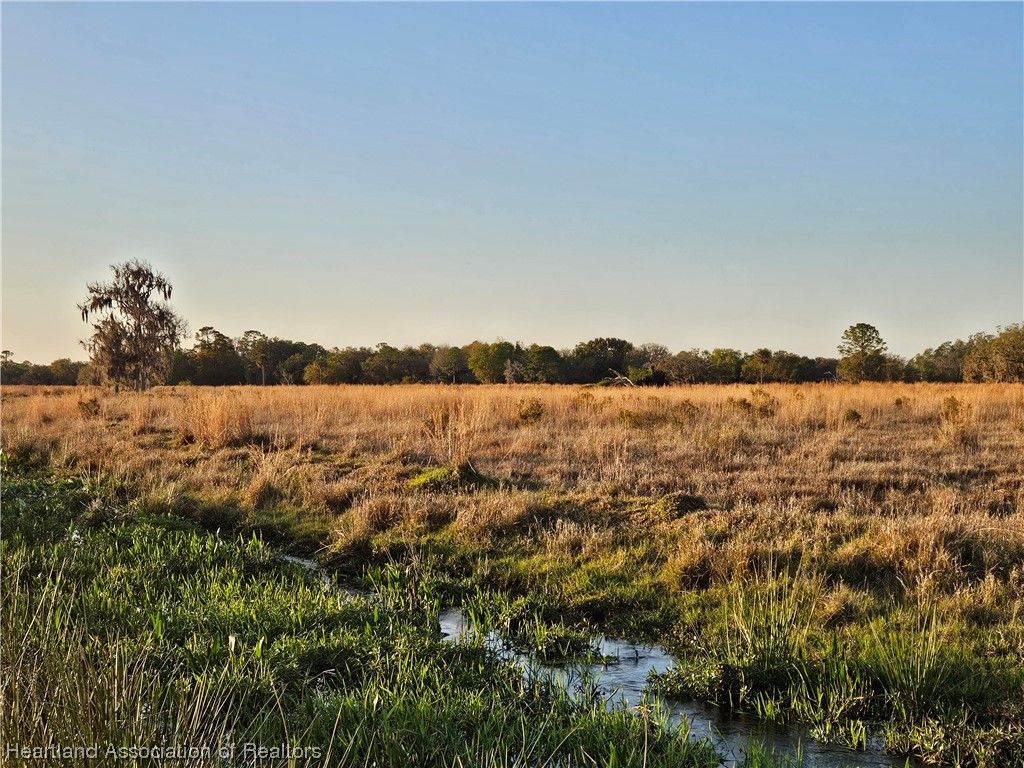 1000 Platt Crk Road Venus, FL 33960 - Photo 3 of 9