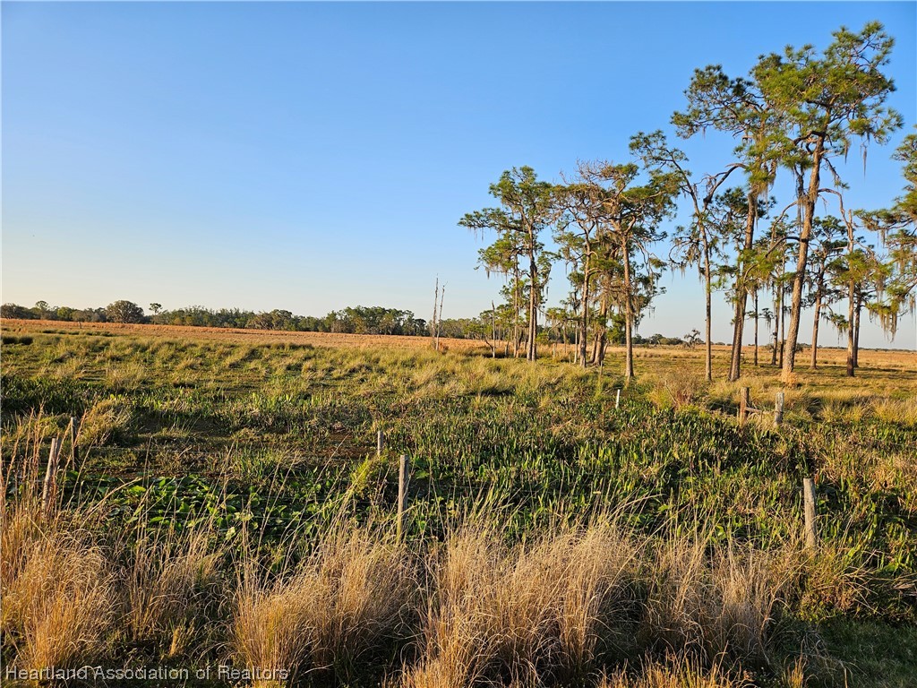 1000 Platt Crk Road Venus, FL 33960 - Photo 4 of 9