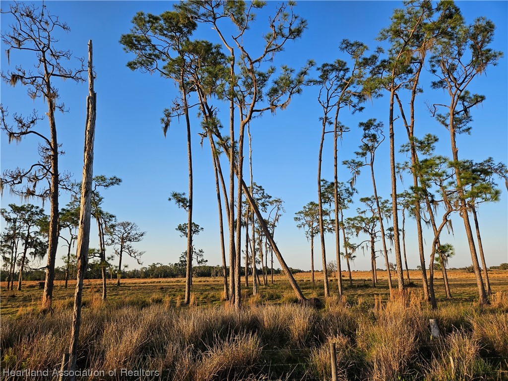 1000 Platt Crk Road Venus, FL 33960 - Photo 7 of 9