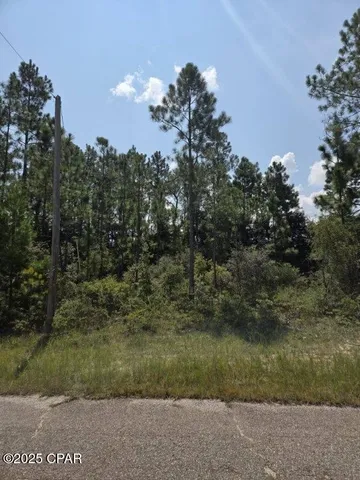 $17,500 | 0 Flagler Drive, Chipley, FL 32428