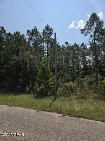 $17,500 | 0 Flagler Drive, Chipley, FL 32428