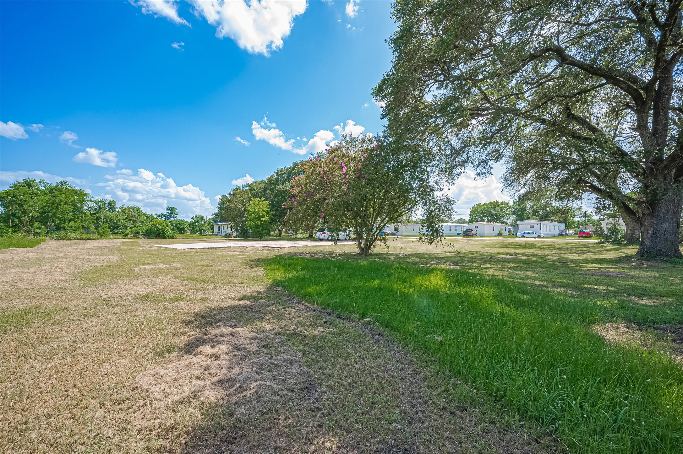 210 5th Street Hempstead, TX 77445 - Photo 10 of 36 a view of outdoor space with garden and trees