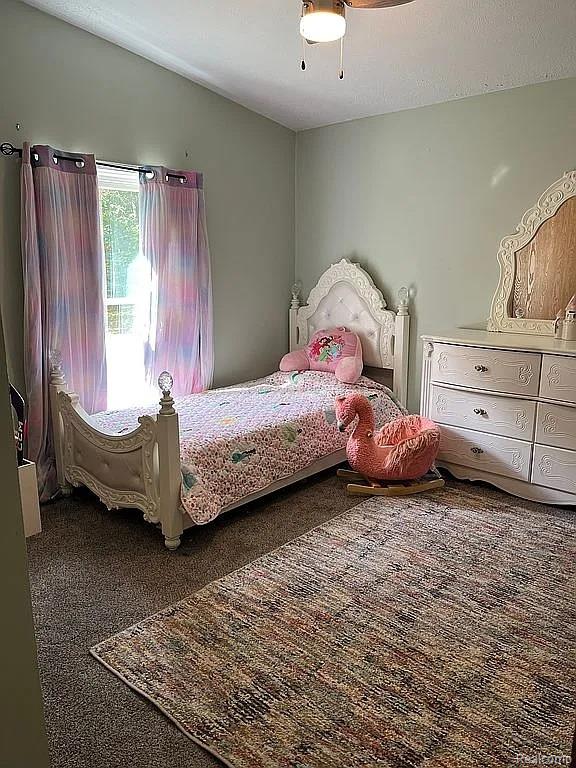 2829 Mushroom Road Caro, MI 48723 - Photo 8 of 29