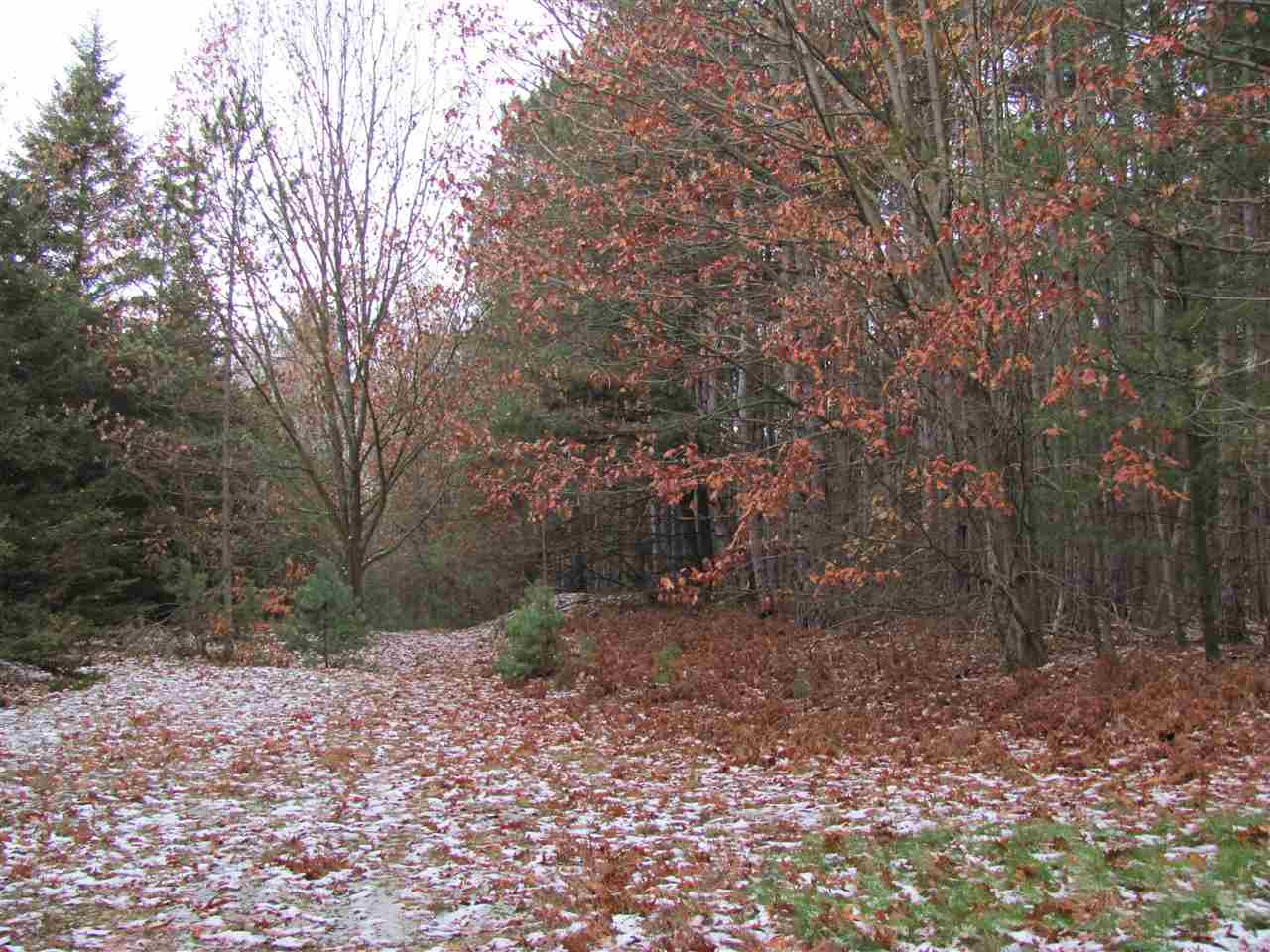 770 West Finkle Road McBain, MI 49657 - Photo 19 of 21 1840866-18.JPG