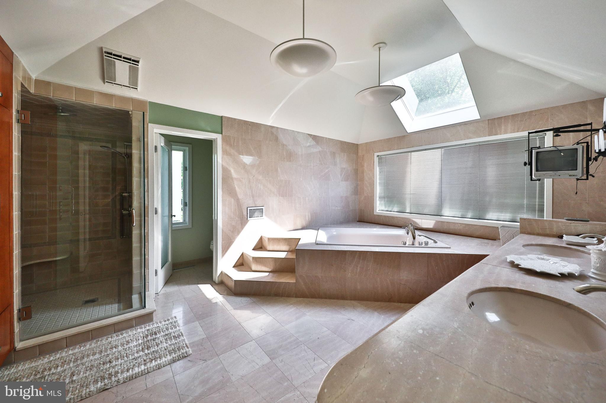914 Morgan Road Rydal, PA 19046 - Photo 23 of 57 A master bath fit for royalty.