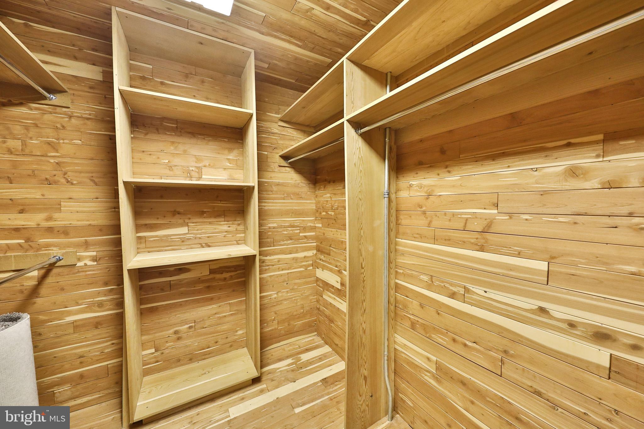914 Morgan Road Rydal, PA 19046 - Photo 51 of 57 cedar closet