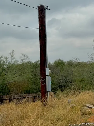 a view of a dry yard with trees