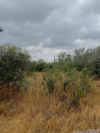 $65,000 | 103 South Oleander Avenue, Cotulla, TX 78014