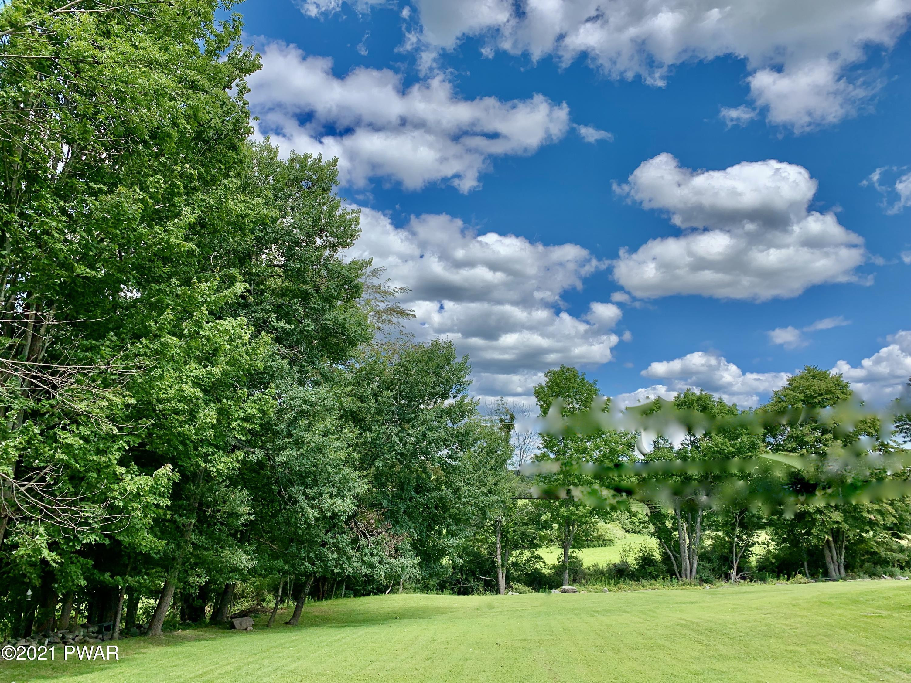 369 Watts Hill Road Honesdale, PA 18431 - Photo 6 of 39