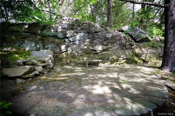 a view of a forest with lawn chairs