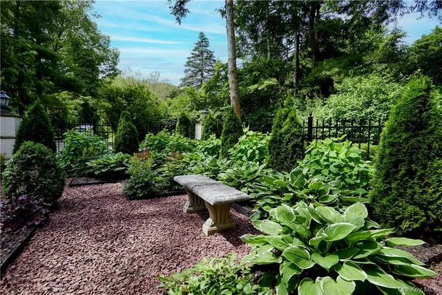 a view of a garden with plants and large trees