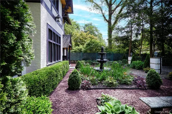 a view of a garden with plants and trees