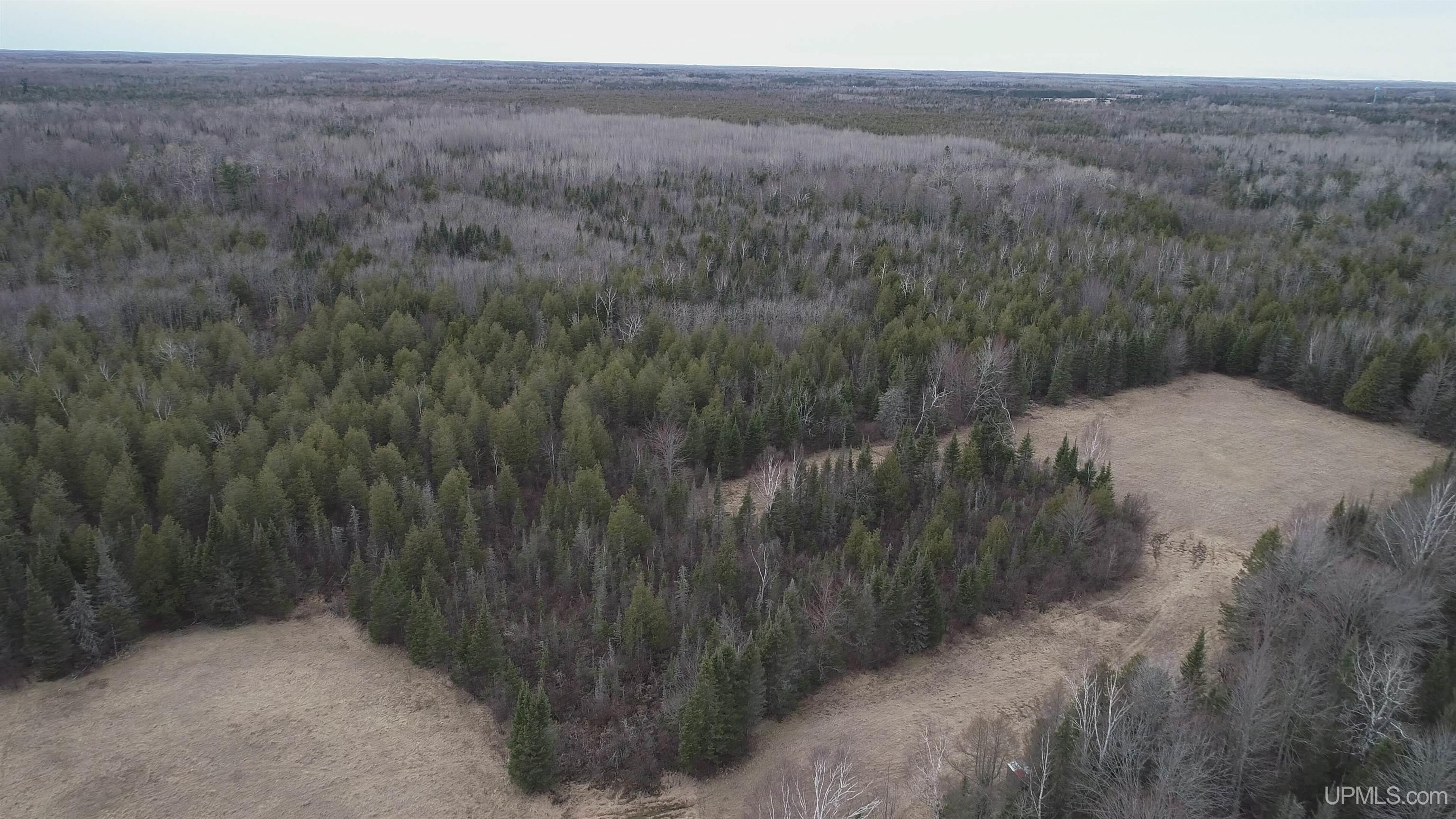 40-acres Trombley 35th Road Rock, MI 49880 - Photo 45 of 62