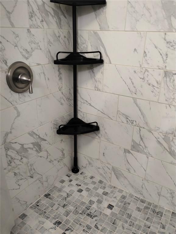 417 East Main Street Dundee, FL 33838 - Photo 20 of 24 a close view of a shower in a bathroom