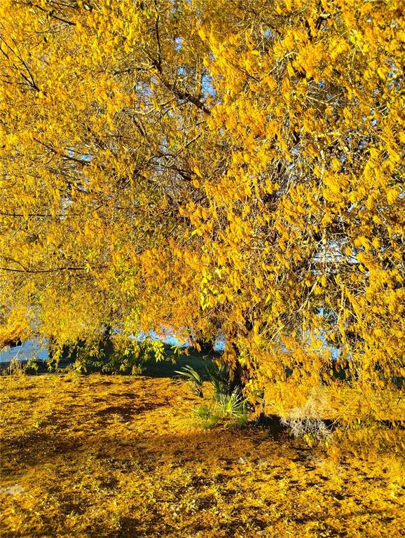 417 East Main Street Dundee, FL 33838 - Photo 22 of 24 a view of lake view