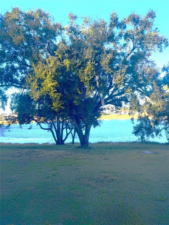 417 East Main Street Dundee, FL 33838 - Photo 23 of 24 a view of yard with green space