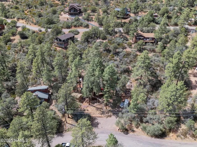 a view of a road with trees