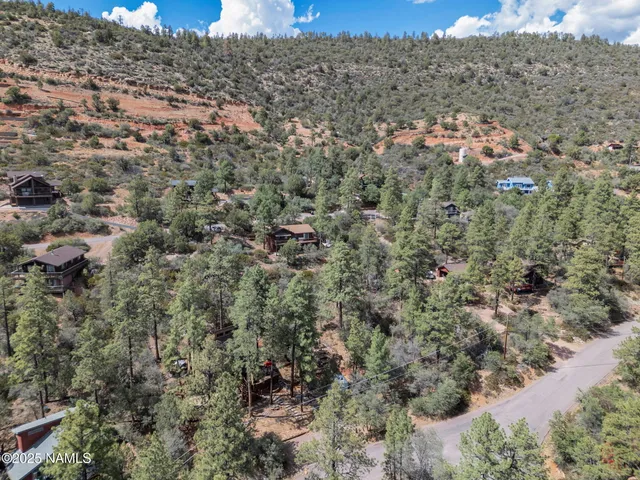 a view of a forest with a trees