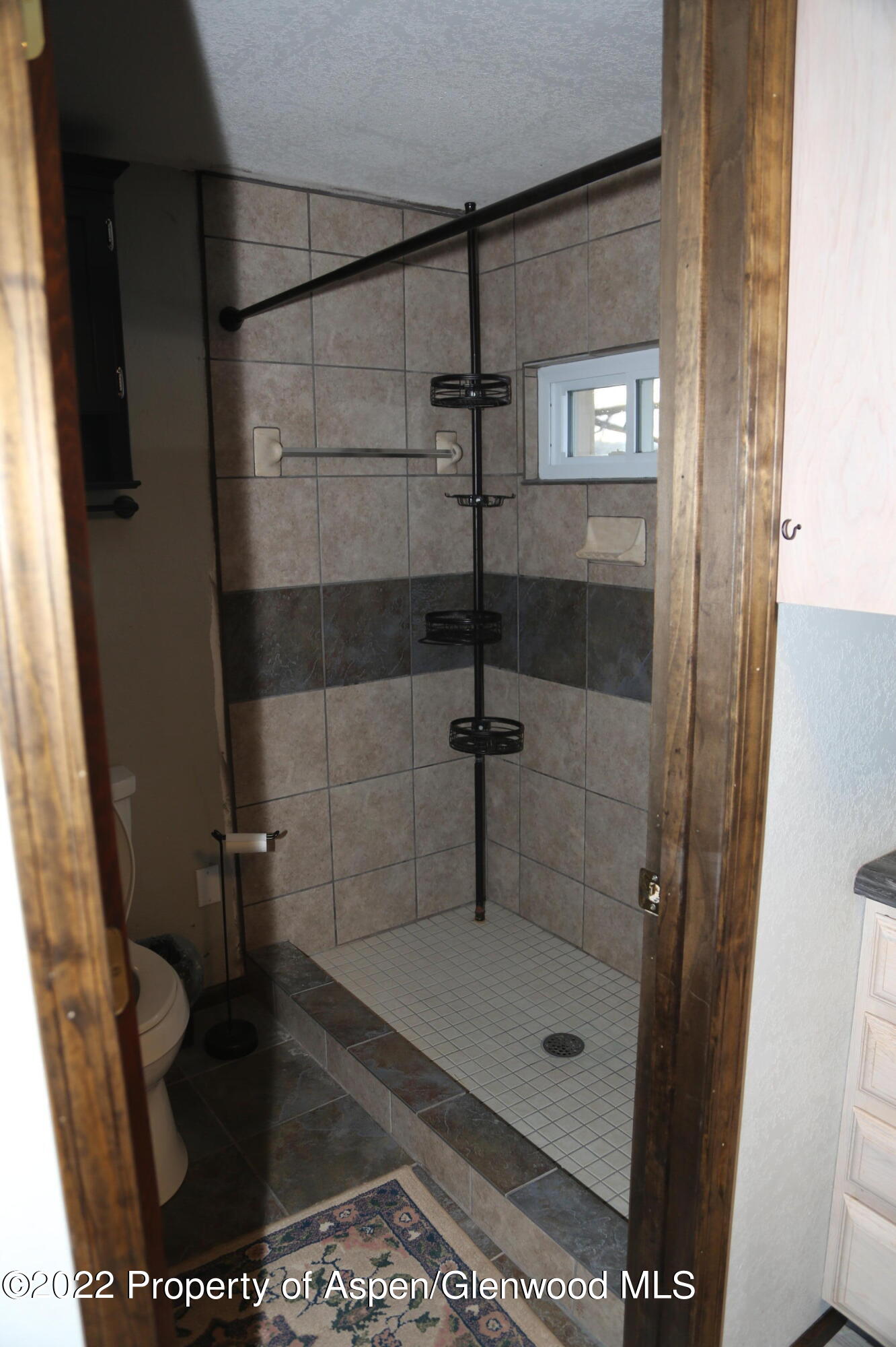 756 County Road 221 Rifle, CO 81650 - Photo 13 of 15 a bathroom with a glass shower door