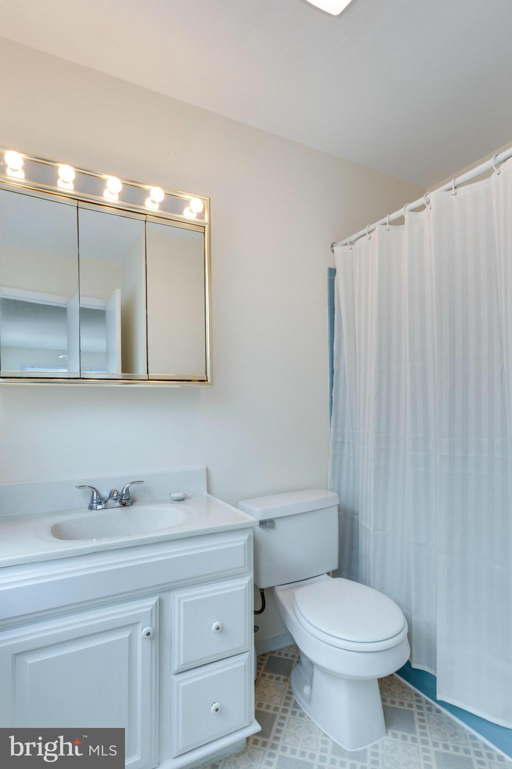 7200 Thrasher Road McLean, VA 22101 - Photo 9 of 19 Bath (Master)