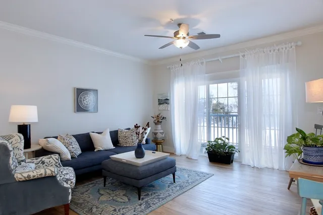 a living room with furniture and a potted plant
