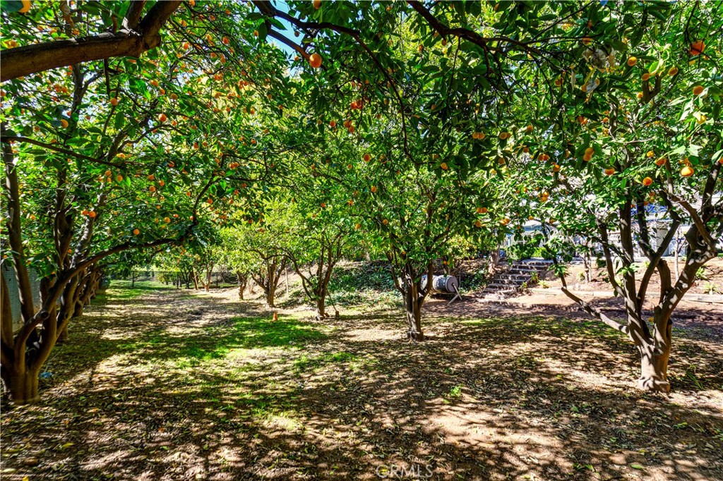 1463 Bishop Place Riverside, CA 92506 - Photo 35 of 43