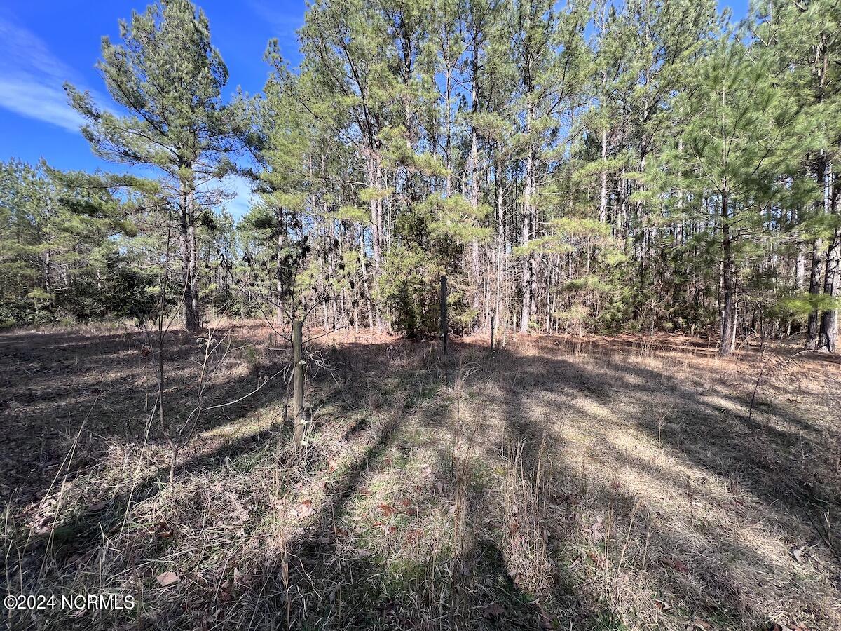 657 Collins Mill Road Castalia, NC 27816 - Photo 135 of 148 IMG_5113