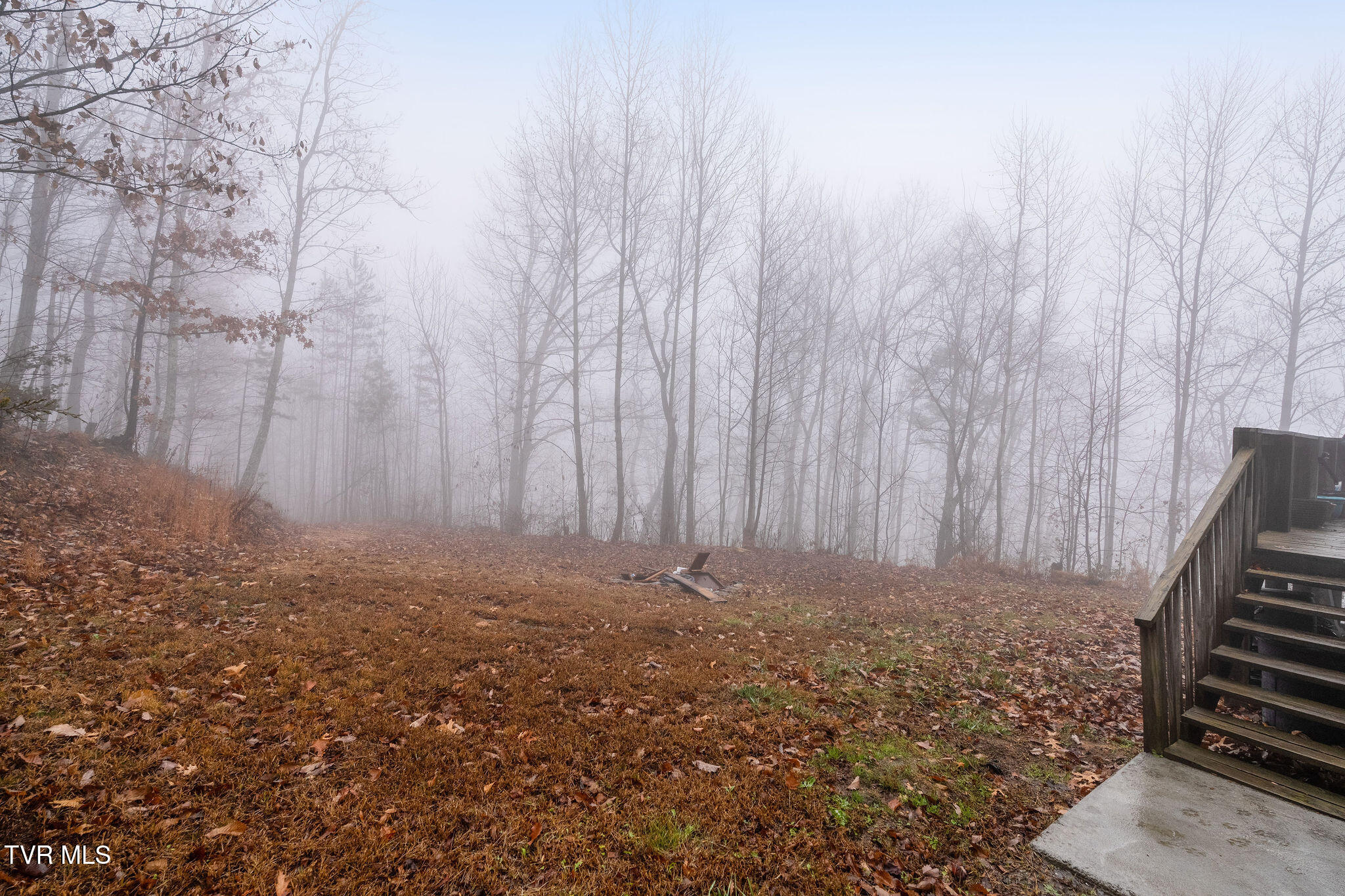 7538 Snake Hollow Road Sneedville, TN 37869 - Photo 44 of 49 DSC02292