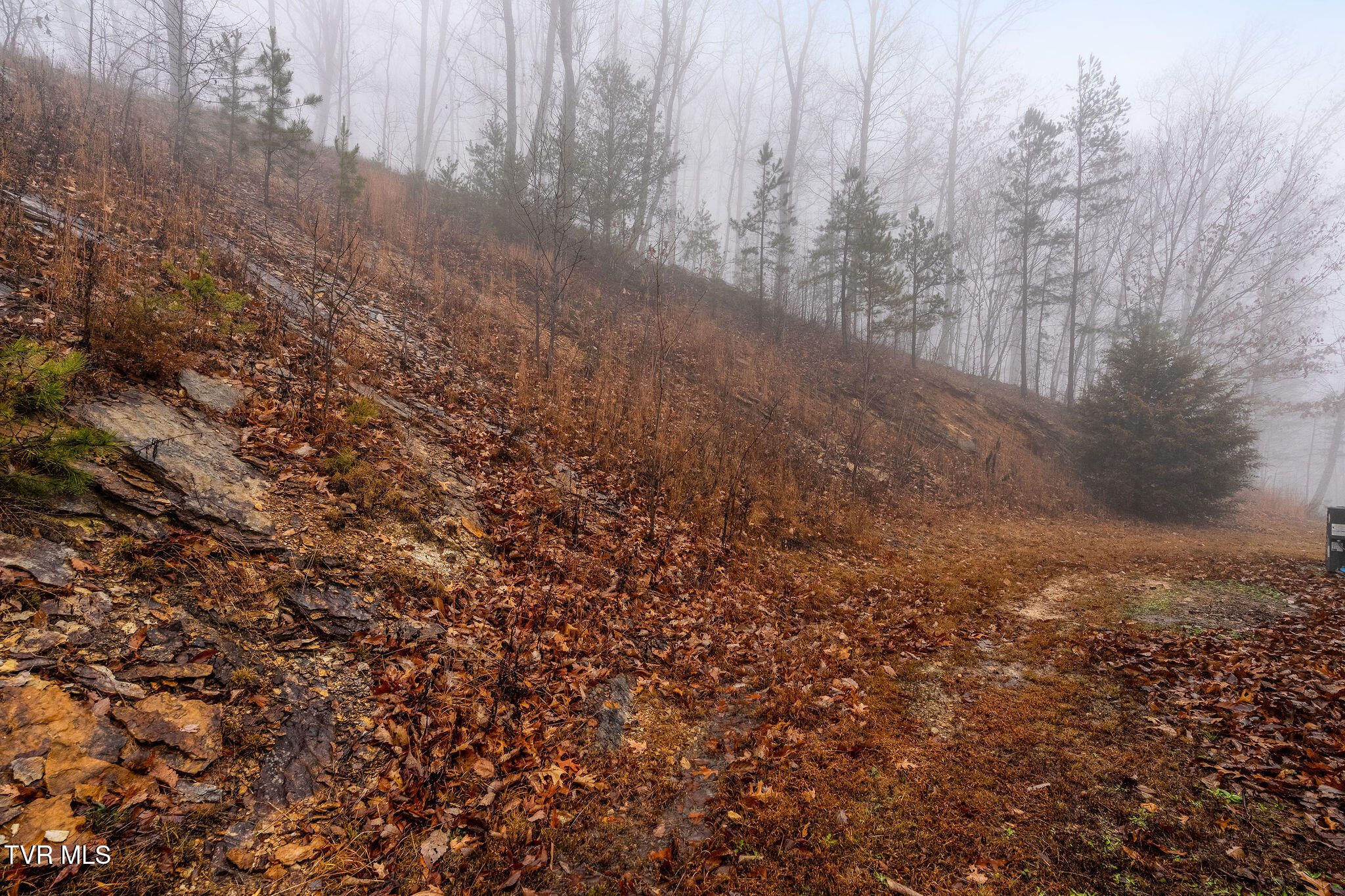 7538 Snake Hollow Road Sneedville, TN 37869 - Photo 47 of 49 DSC02290