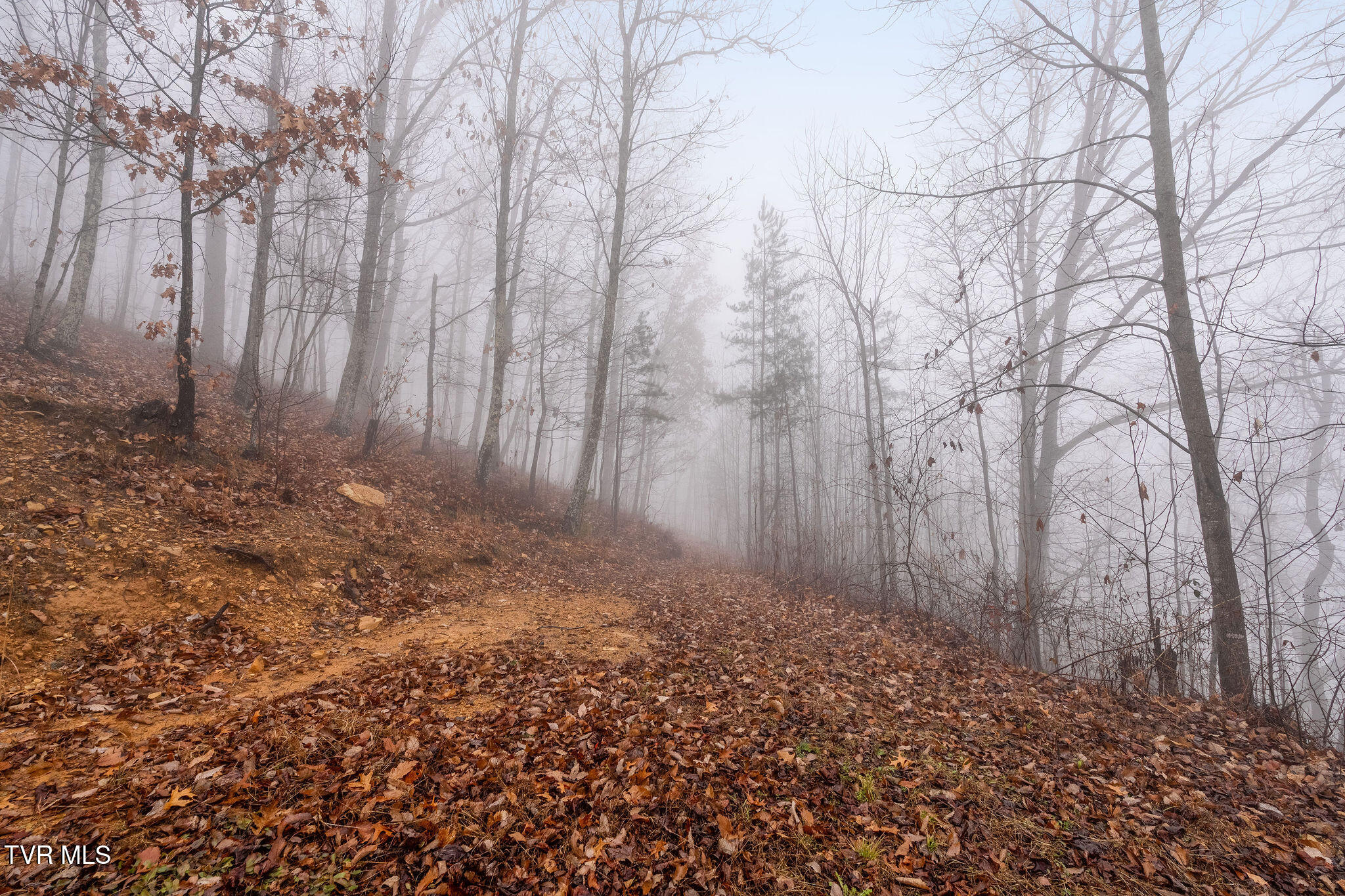 7538 Snake Hollow Road Sneedville, TN 37869 - Photo 48 of 49 DSC02293