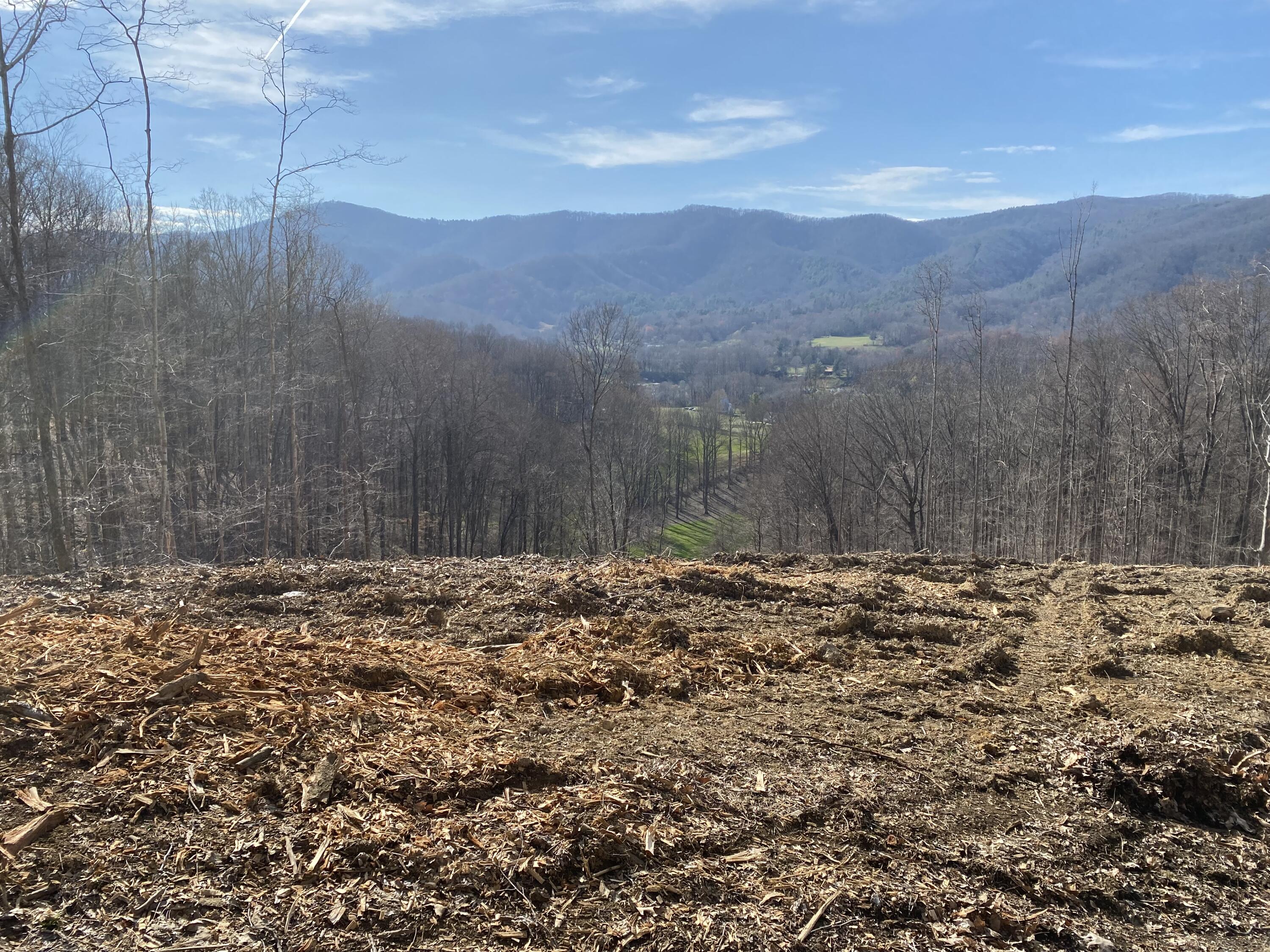 Tbd Golf Course Road, Unit 18 Unicoi, TN 37692 - Photo 1 of 4 IMG_1799