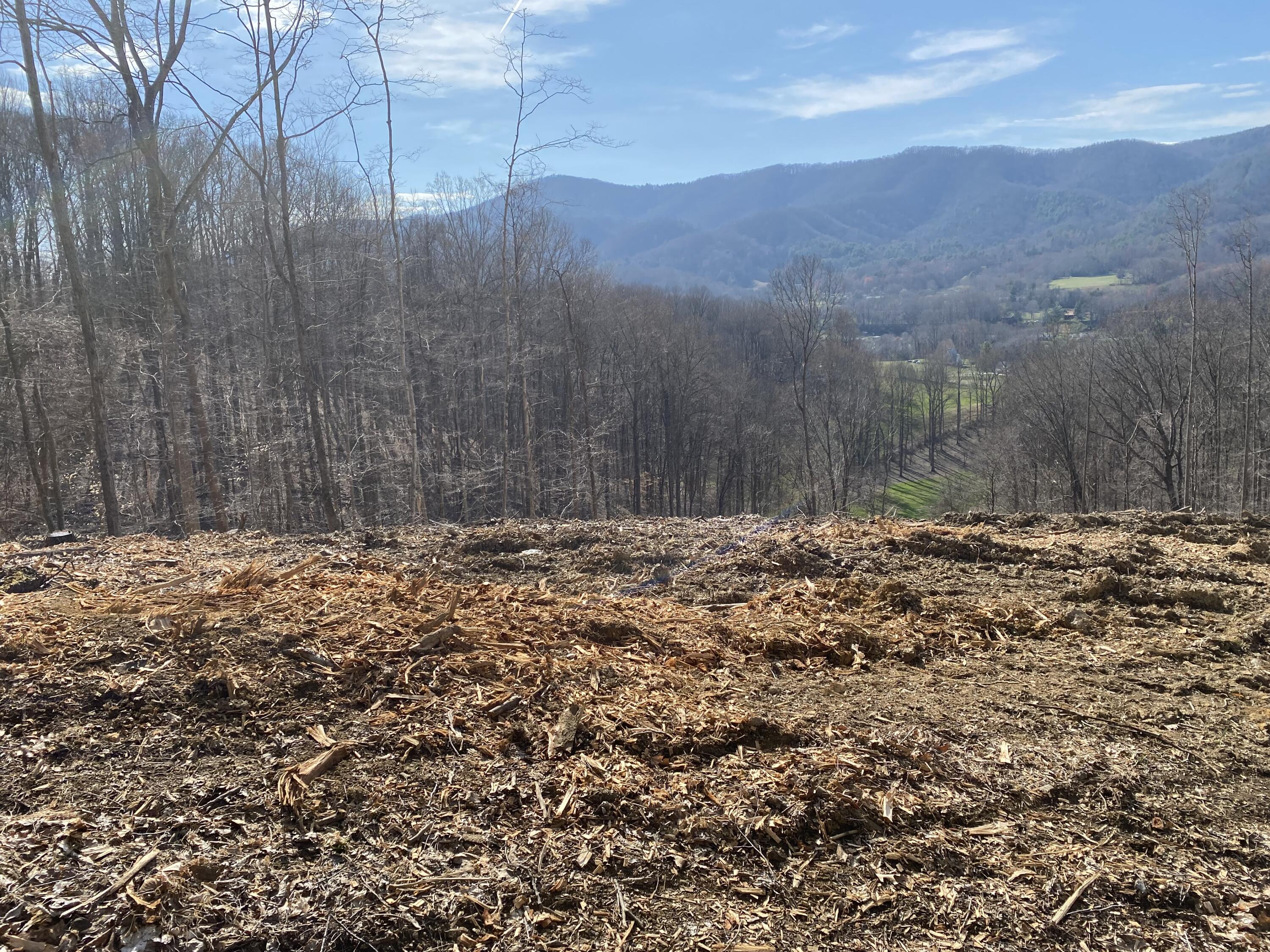 Tbd Golf Course Road, Unit 18 Unicoi, TN 37692 - Photo 2 of 4 IMG_1796