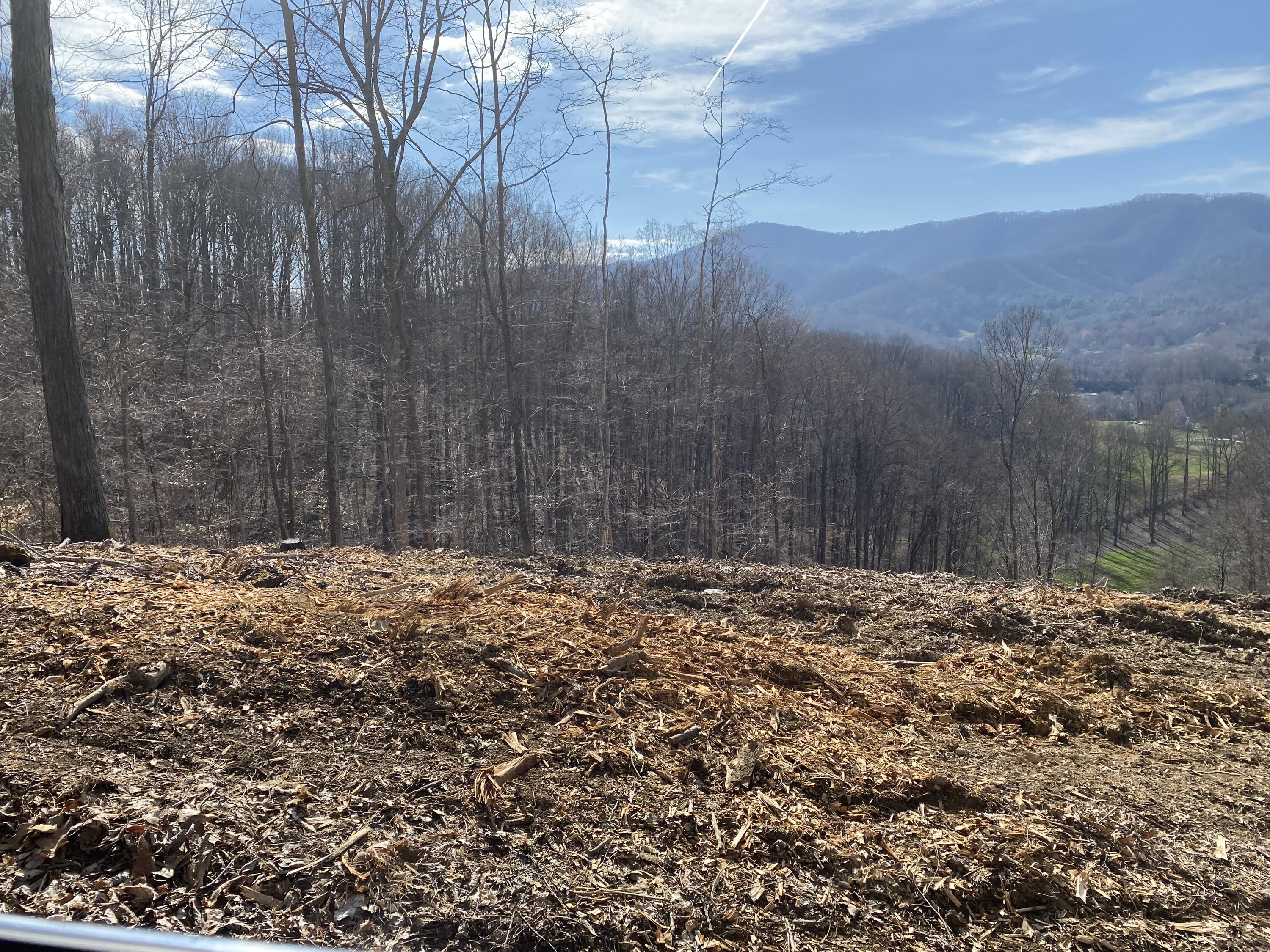 Tbd Golf Course Road, Unit 18 Unicoi, TN 37692 - Photo 3 of 4 IMG_1798