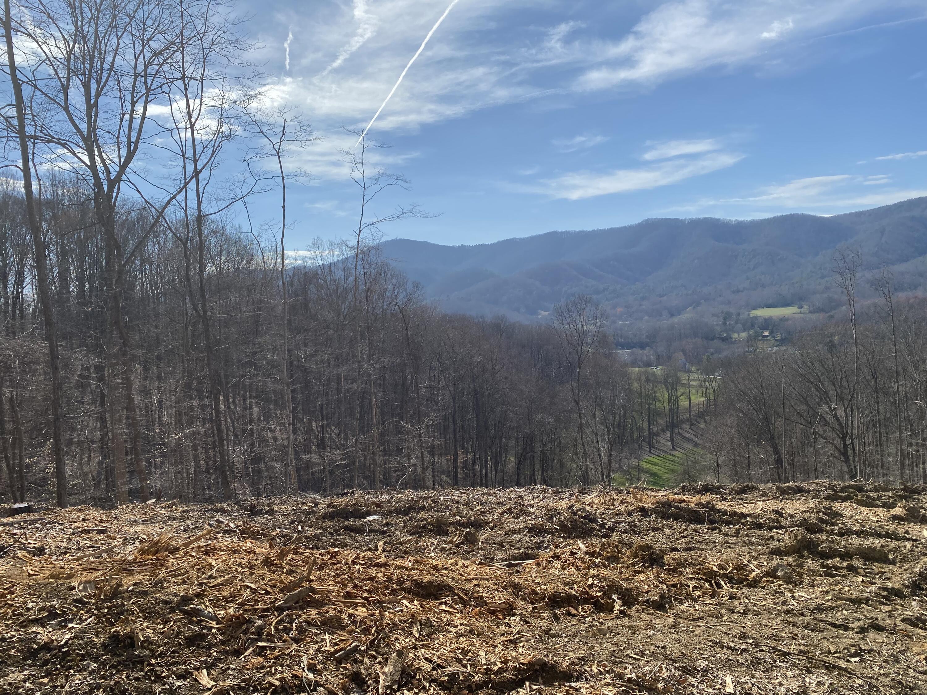 Tbd Golf Course Road, Unit 18 Unicoi, TN 37692 - Photo 4 of 4 IMG_1797