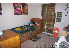 120 Raspberry Point Lane Flat Rock, NC 28731 - Photo 10 of 12 Gallery Image 10